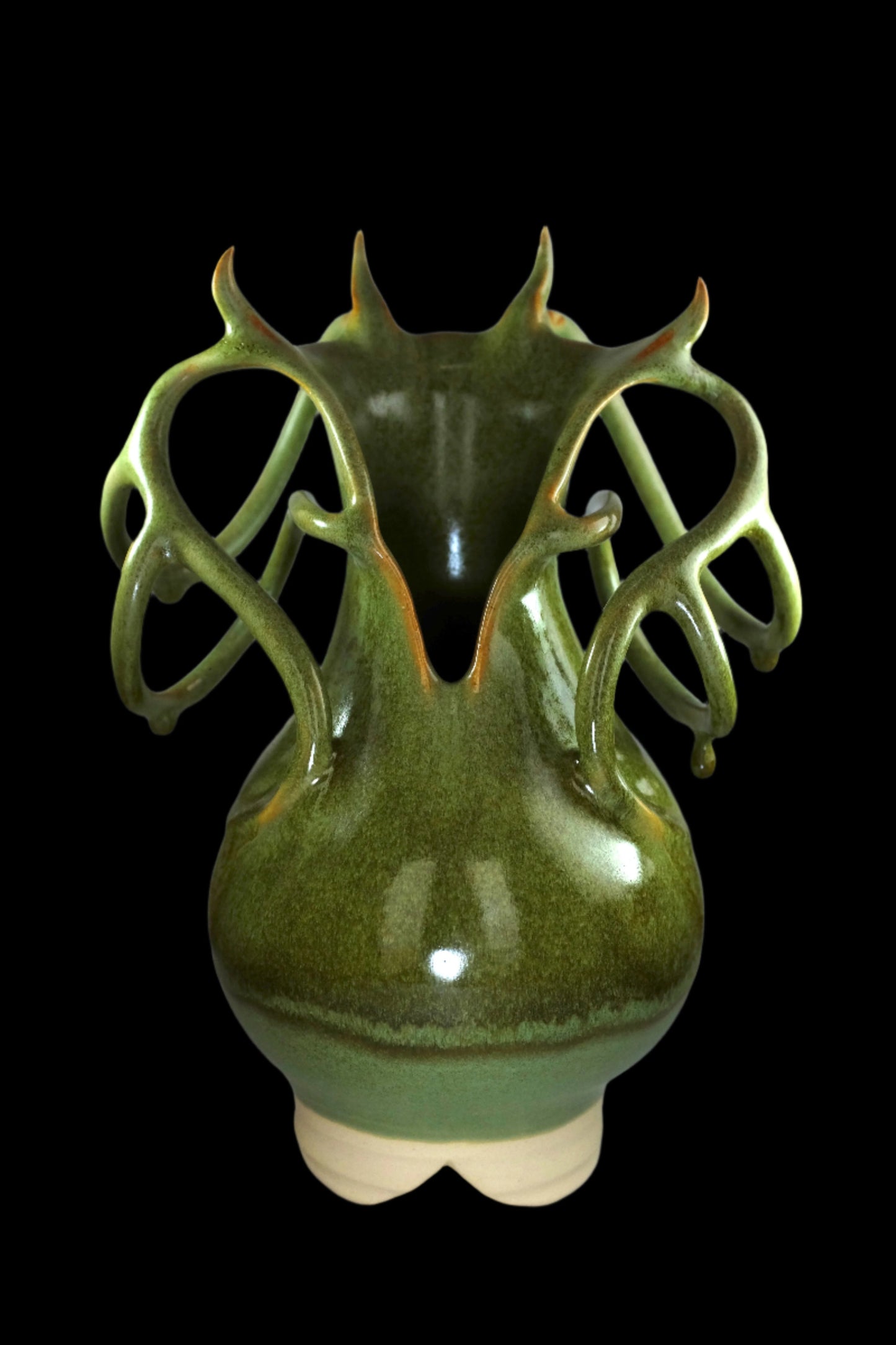 Nepenthes Vase