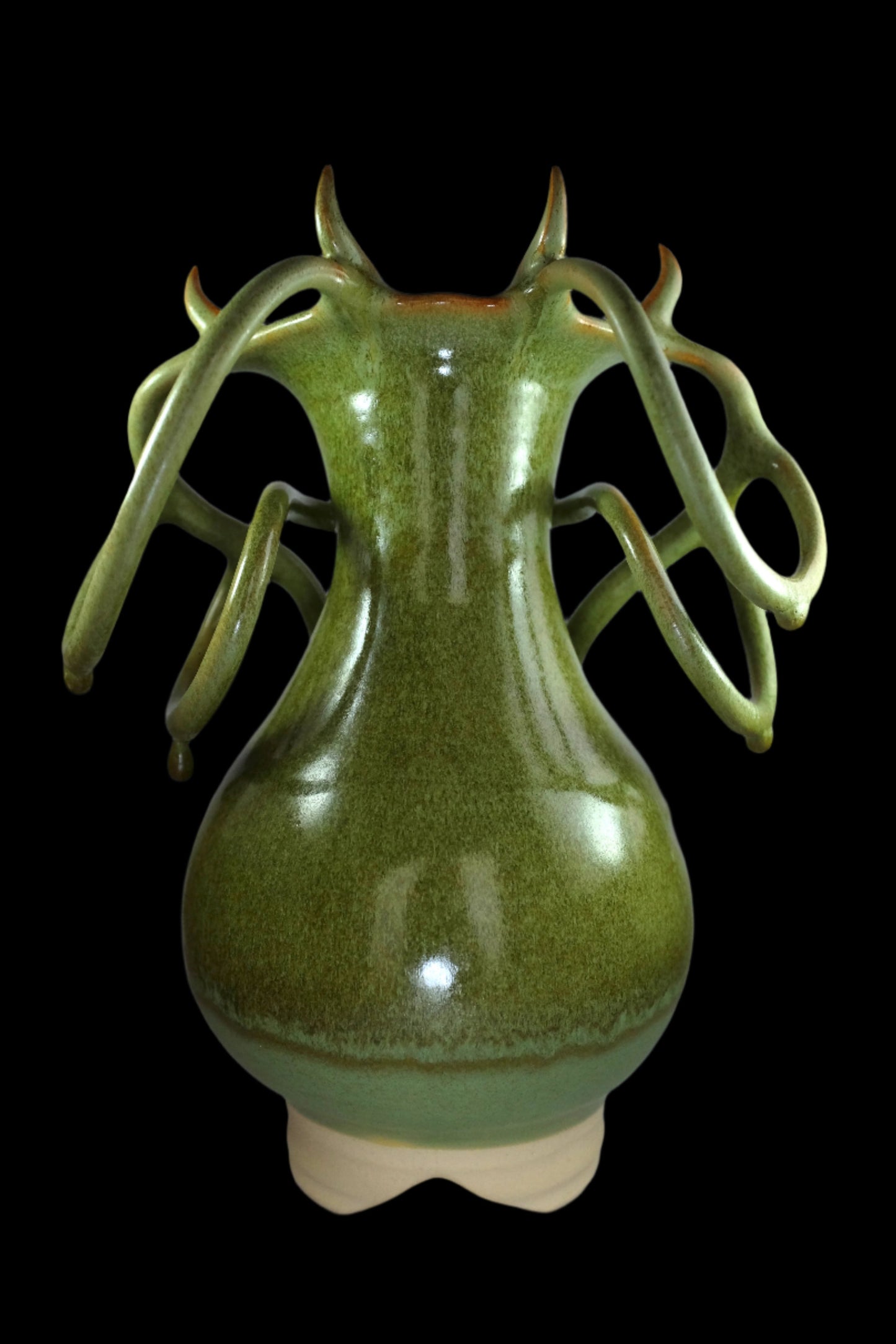 Nepenthes Vase